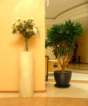 Hotel Flowers & Plant Displays